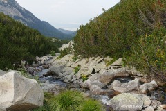 Pirin Mts.