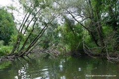 Veleka River