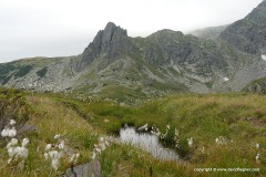 Rila Mts.