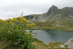 Rila Mts.