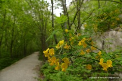 Paklenica