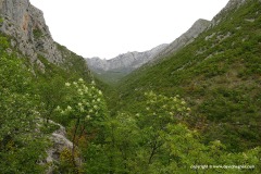 Paklenica