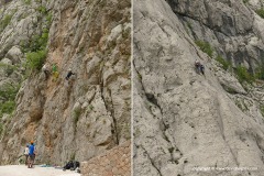 Velebit