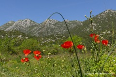 Baćina Lakes