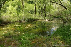 Cetina River