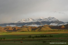 Near Barbulak