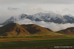 Near Barbulak