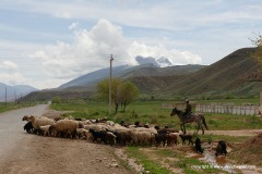 W of Naryn