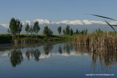 Near Bishkek