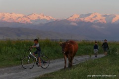 Near Sokuluk