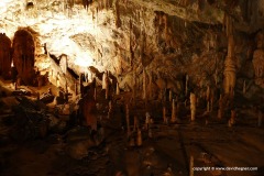 Postojna Cave