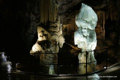 Postojna Cave