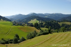 Zgornja Sorica