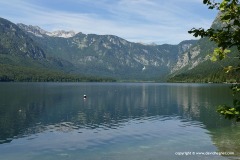 Lake Bohinj