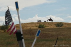 Sonoita