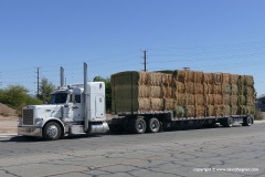 Truck, Blythe