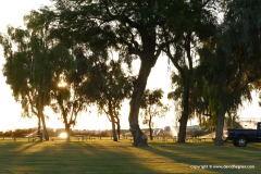 North of Blythe