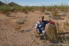 Organ Pipe Cactus N.M.