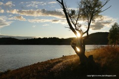 Parker Canyon Lake