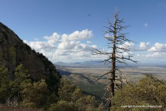 Huachuca Mts.