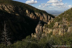 Huachuca Mts.