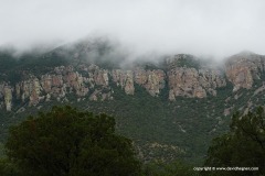 Huachuca Mts.