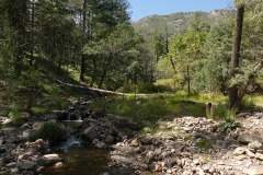 Chiricahua Mts.