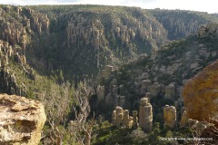 Chiricahua N.M.