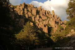 Chiricahua N.M.