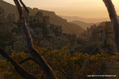 Chiricahua N.M.
