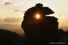 Chiricahua N.M.