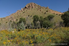 Chiricahua N.M.