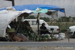Water melons