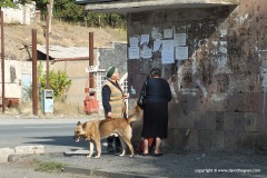 Near Garni Valley