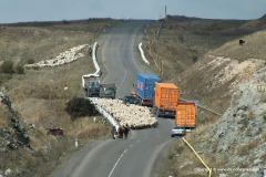 Near Gavar