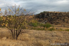 Near Azat