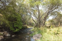 Near Vaik