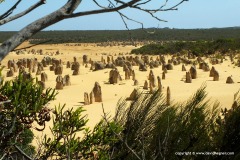 Pinnacles