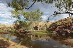 Near Nullagine