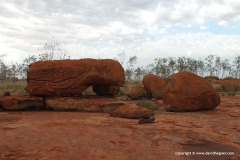 East of Karijini N.P.