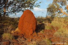 Near Karijini N.P.