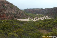 Cape Range N.P.