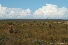 South of Geraldton