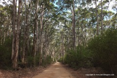 Leeuwin-Naturaliste N.P.