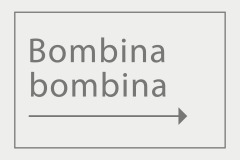 Bombina bombina