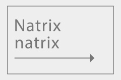 Natrix natrix