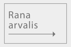 Rana arvalis