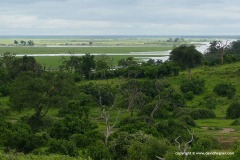 Chobe N.P.