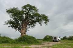 Restplace, Chobe N.P.