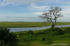 Chobe N.P.